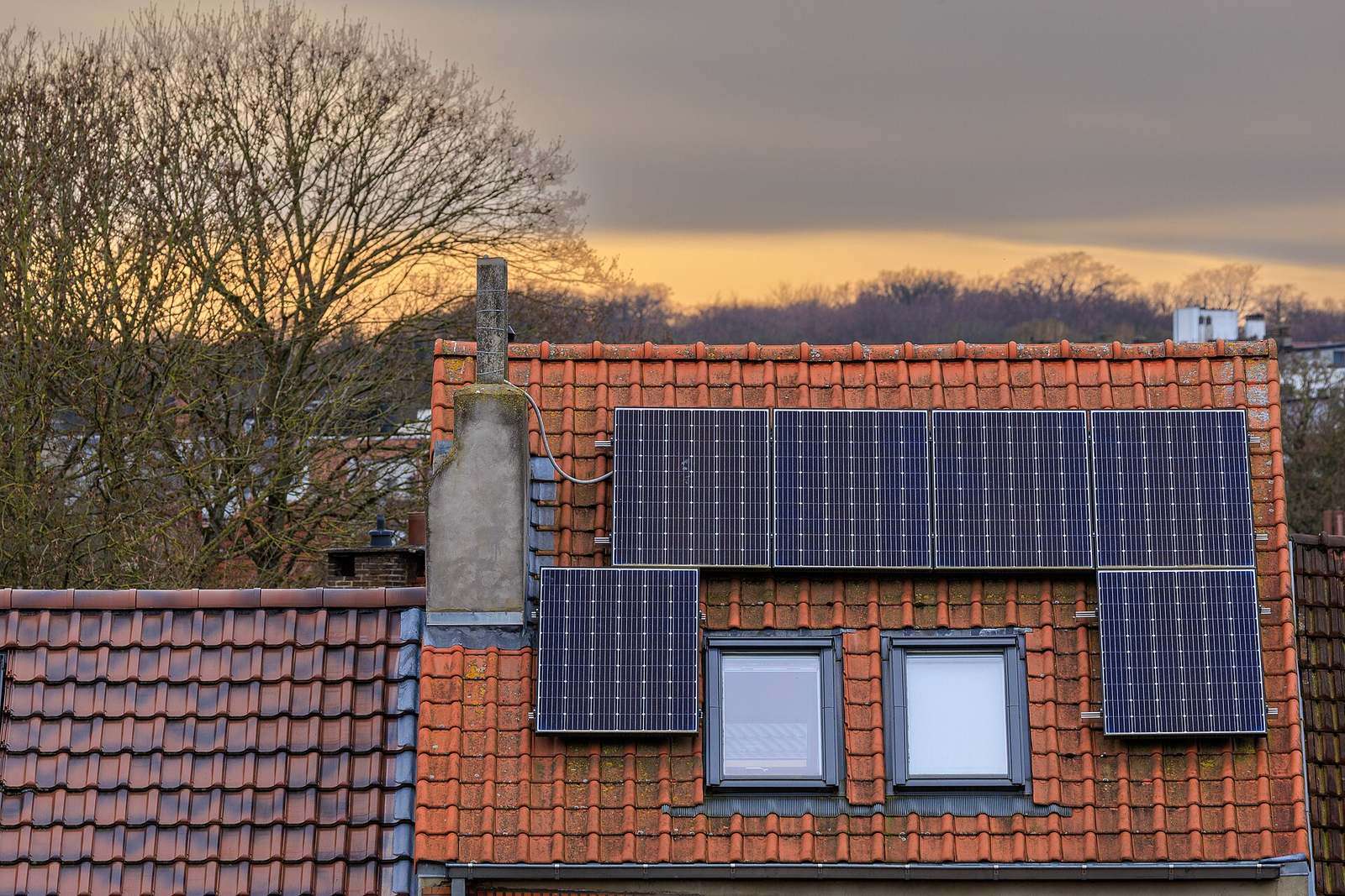 Rood pannendak met acht zwarte zonnepanelen rond twee dakvensters, met kale bomen en een avondlucht erachter